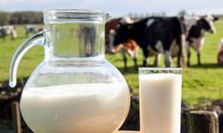 Üretimde gerileme durdurulamıyor, TÜİK içme sütü verilerini açıkladı: Yüzde 25,1 düştü