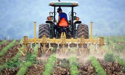 Tarım ve Orman Bakanlığı'na 1500 tarım işçisi alınacak