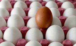 Asgari ücretle kaç yumurta alınır? Almanya'da 8 bin 231, Türkiye'de 2 bin 619
