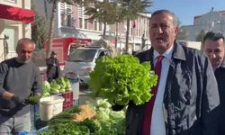CHP'li Gürer sordu: Salatalık ve domatesin 20 liranın üstünde olduğu bir ortamda dar gelirli vatandaş nasıl geçinecek?