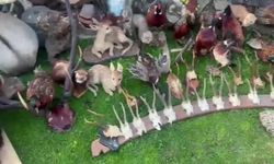 Silivri'de, 55 Adet Tarihi Eser İle Çeşitli Yaban Hayvanlarının Kürk, Tahnit, Kafatası Ve Boynuzları Ele Geçirildi