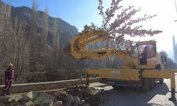 Türkiye’nin en büyük ağaç taşıma işlemi Yusufeli'nde gerçekleştiriliyor