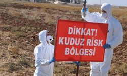 Dersim'in Hozat ilçesinde kuduz vakası: İnekte kuduz çıktı, ilçeye hayvan girişi yasaklandı