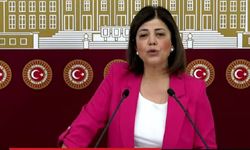 HDP'li Beştaş: Partimize kurulan kumpasın cevabını 14 Mayıs'ta vereceğiz