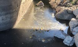 Bakan Kurum’dan Ceyhan Nehri kirliliği yanıtı