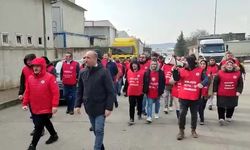 Birleşik Metal İş üyesi işçiler, MKS Tranformatör fabrikasında greve çıkıyor