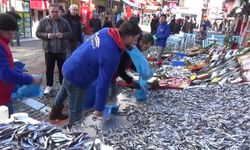 Edirne'de hamsi 20 liraya düştü, vatandaş kilo kilo aldı