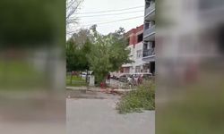 İzmir'de fırtına: Ağaçlar devrildi, çatılar uçtu