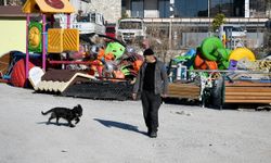 Kuşadası Belediyesi’nin tedavi ettiği köpek 'Karam', yeniden yürümeye başladı