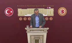 Mustafa Adıgüzel'den TMO'nun fındık satışına tepki