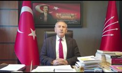 Yıldırım Kaya'dan Kültür ve Cemevi Başkanlığı'na Ali Arif Özbeybek'in atanmasına tepki