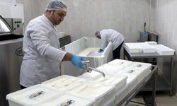KAYÜ bağışçıların sütünü depremzedelere peynir yaptı