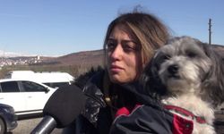Dokuz 8 Özel  |  Kürt kentlerinde seferberlik ve köpeği Rakı'yla enkazdan çıkan Melis'in hikayesi...
