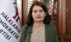 AYM'den HDP'li Semra Güzel'in 'dokunulmazlık' talebine ret