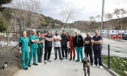 Çankaya Belediyesi veteriner hekim ve teknikerleri uzmanlar eşliğinde bilgilerini güncelledi