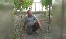 Çiftçilerin domates ihracatının kısıtlanmasına yönelik protestoları devam ediyor
