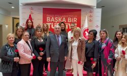 DP'li Enginyurt, Erdoğan'ın o sözünü hatırlattı: DP, kadınlara 'sürtük' denilen anlayışı ayaklarının dibinde ezecek