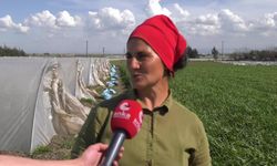 Hataylı depremzede kadın çiftçi: Hatay'ı yeniden inşa edelim, gidenler geri dönsün