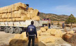 Konyaaltı Belediyesi'nden deprem bölgesine yem ve saman desteği