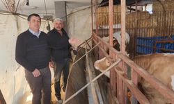 CHP’li Gaytancıoğlu: Deprem bölgesinde ineklerin sütünü sağmak için jeneratör lazım