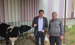 Okan Gaytancıoğlu: Şap aşıları ücretsiz olmalı