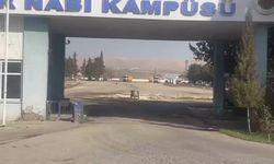 Önemli iddia: Harran Üniversitesi'nin birinci sınıf tarım arazisine konteyner kent kuruluyor
