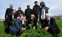 Arsuz Belediye Başkanı Güven, tarımsal üretim sahalarını inceledi
