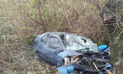 Balıkesir'de ağaca çarpan otomobildeki 2 kişi öldü