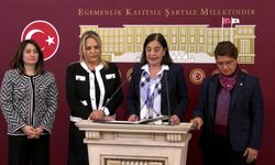 Jale Nur Süllü: Kadınların sandıkta gereken dersi AKP iktidarına vereceğine yürekten inanıyorum