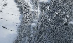 Kastamonu'da karla kaplanan ormanlar havadan görüntülendi