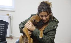 Muğla Büyükşehir Belediyesi, depremzede aileyle köpek ‘Köfte’yi buluşturdu