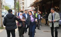 Diyarbakır'da Yeşil Sol Parti milletvekili aday adayları el bildirisi dağıttı