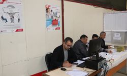 Ağrı ve Ardahan'daki sınır kapılarında oy verme işlemi başladı