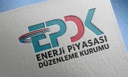 EPDK 22 şirkete lisans verdi