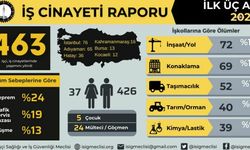 İSİG Meclisi: 3 ayda en az 463 emekçi iş cinayetlerinde öldü