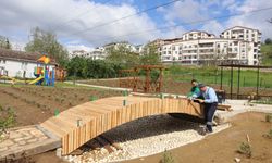 İzmit Belediyesi, Gündoğdu Lavanta Parkı’nda çalışmalara devam ediyor