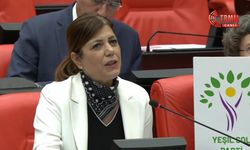 Meral Danış Beştaş: Elimde AKP üye kayıtları var, habersiz bir şekilde üyesi yapılmışlar