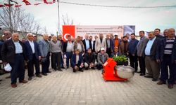 Mersin Büyükşehir'den Anamurlu üreticilere zeytin ve passiflora fidanı desteği