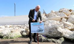 Mersin'de Akdeniz fokları için uyarı tabelası dikildi