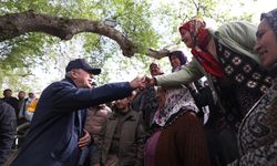 Milli Savunma Bakanı Akar, Samandağ'ın köylerinde incelemelerde bulundu