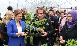 Safranbolu Belediyesi, vatandaşlara ata tohumu dağıtıyor