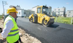 Seyhan Belediyesi, asfalt çalışmalarına kaldığı yerden devam ediyor 
