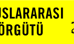 Uluslararası Af Örgütü: HDP’nin kapatılması, ifade ve örgütlenme özgürlüğü haklarının ihlali olur