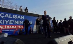 Babacan’dan Erdoğan’a: "Biraz yavaş ülkeyi yayık ayranına çevirdiniz"