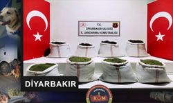 Diyarbakır ve Gaziantep'te uyuşturucu operasyonu