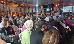 İYİ Partili Türkeş: Bu diktayı yıkmamız gerekiyor, beka problemi bu