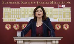 HDP Grup Başkanvekili Beştaş, Bakan Yanık'a tepki gösterdi