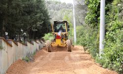 Mudanya Belediyesi, Tirilye Mezarlık yolunda çalışmalara başladı