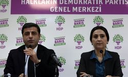 AİHM'den Demirtaş ve Yüksekdağ ile ilgili 'hak ihlali' kararı