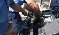 Gaziantep'te otomobilin motoruna sıkışan kedi yavrusu kurtarıldı